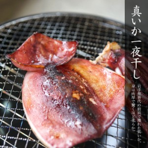 三陸産 真イカの一夜干し 「大」サイズ 食べごたえあります イカ するめいか スルメイカ BBQ バーベキュー キャンプ