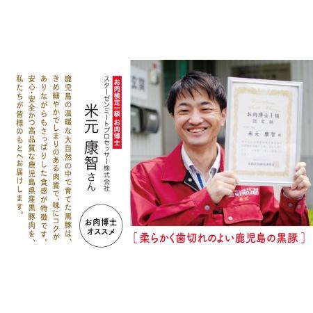 ふるさと納税  黒豚しゃぶしゃぶ定期便 （全5回） 黒豚ロース バラ 肩ロース 食べ比べ 定期便 鍋 お鍋 しゃぶしゃぶ 冷凍 .. 鹿児島県南さつま市