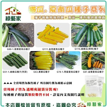 【綠藝家】櫛瓜、夏南瓜種子系列   綠櫛瓜 黃櫛瓜  翡寶夏南瓜 金寶夏南瓜種子  (各包裝數量詳見內文及圖片