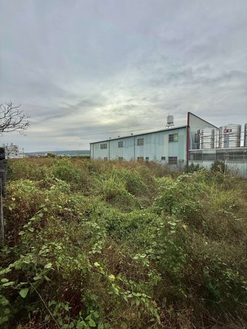 ★東森壯壯★南投草屯發展潛力強雙面臨路農地｜南投縣草屯鎮北投段