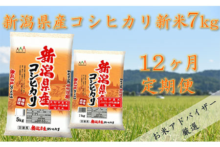 令和4年産 新潟県産 コシヒカリ 7㎏（精米）