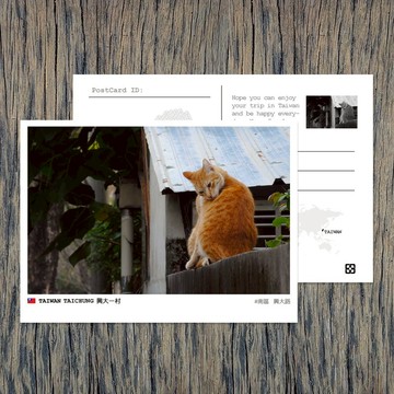No.152臺灣明信片 / 臺中興大一村貓咪 / 任選買10送1
