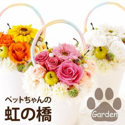 お供え 花 ペット 虹の橋 トゥインクル プリザーブド フラワー お悔やみ お花 アレンジ ギフト カード 贈り物 宅配 配達 供花 仏花 犬 猫 命日 通販 Lineポイント最大get Lineショッピング