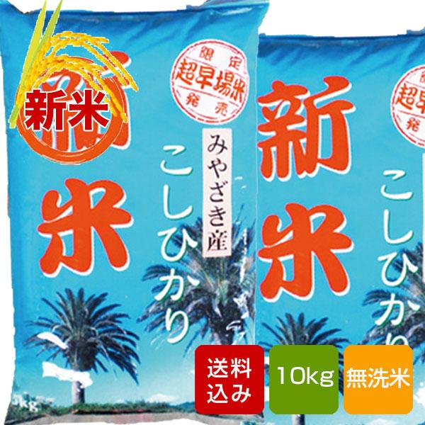 宮崎コシヒカリ 無洗米 10kg 2023年産新米 コメ 米 こめ