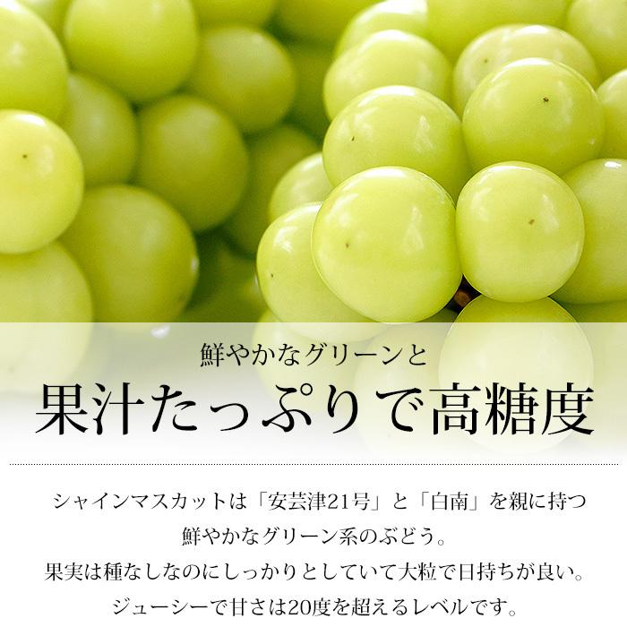 ぶどう 長野県産 山梨県産 シャインマスカット 秀品 約700g（約350g 1房）2パック