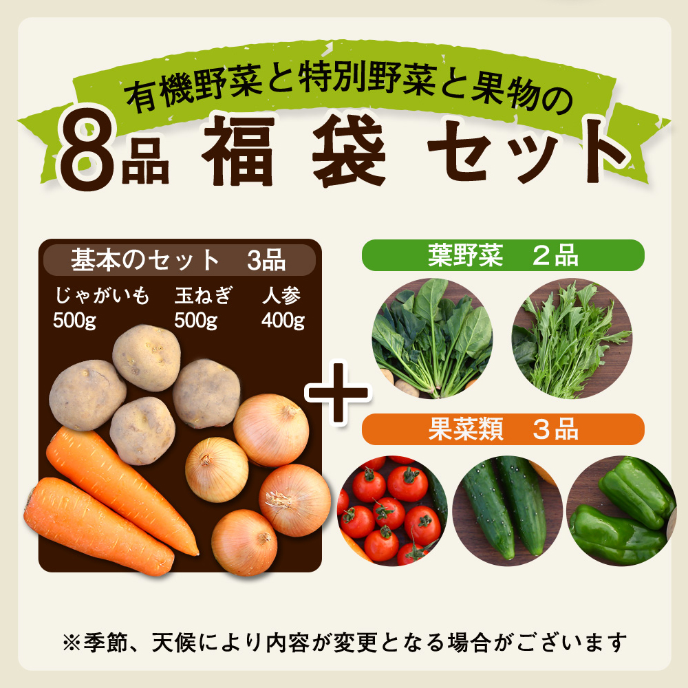 OKAWARI旬の野菜 8品お試しセット（有機野菜と特別野菜と果物）