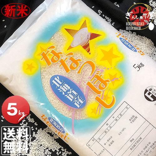 新米 米 5kg お米 ななつぼし 北海道産 白米 令和5年産 送料無料