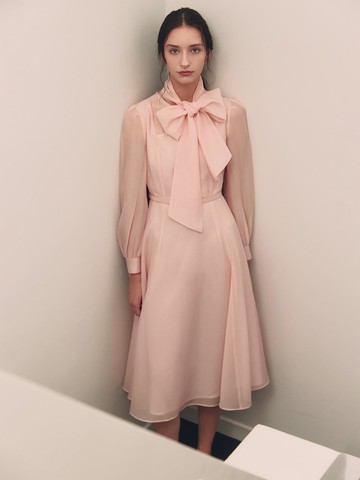 Alessia / Sheer Maxi Flare Dress(2color)