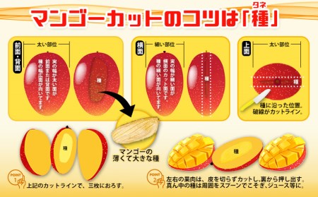 とうはらマンゴー園の美味しいマンゴー家庭用　約2kg