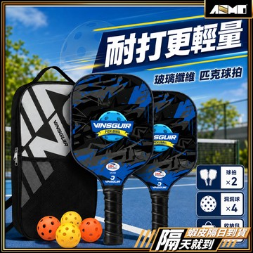 【精準控球發揮實力】匹克球拍 玻璃纖維 匹克球 皮克球 皮克球拍 現貨 匹克球球拍 匹克球拍套組 玻璃纖維匹克球拍