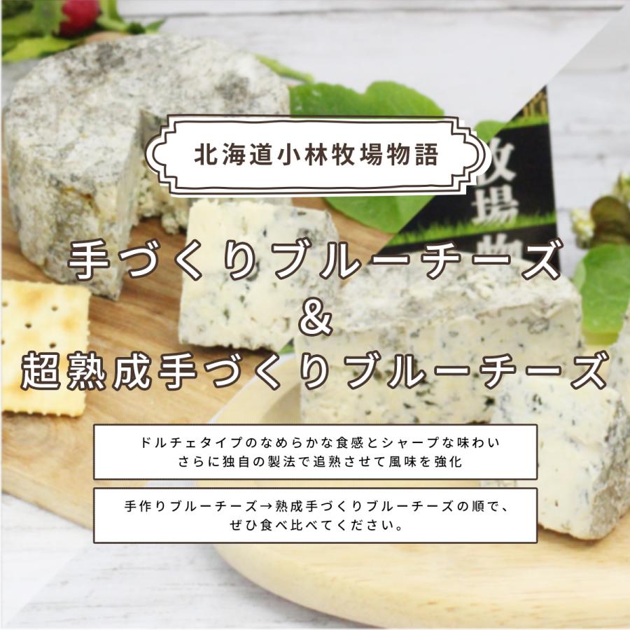 本日クーポンで10％OFF 北海道 ブルーチーズ 2種 食べ比べ セット 小林牧場 北海道産生乳使用 送料無料