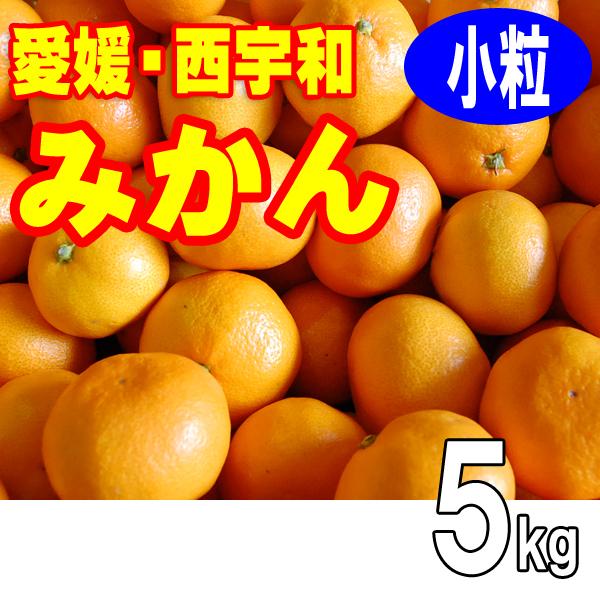 愛媛みかん　小玉みかん　小玉小粒　５ｋｇ　愛媛西宇和産　送料無料　11月中旬から発送　産地直送温州みかん