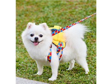 【iC原創】歡樂黃iC ICECREAM寵物背包