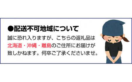 ＜2月より発送＞家庭用 清見オレンジ2kg 60g（傷み補償分） ※北海道・沖縄・離島への配送不可