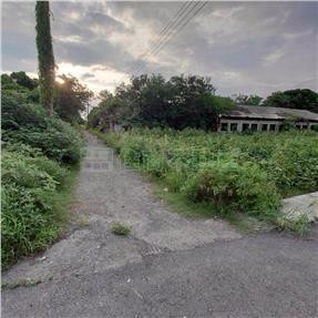 學甲信義路旁便宜都農｜台南市學甲區信義段