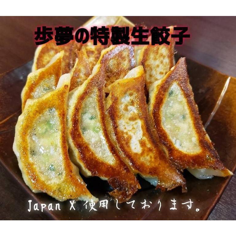 手造り　生餃子　お試し　20個入り　宮城県産ブランド豚（JAPAN　X）使用