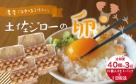 21-1015．濃厚でコクのある味わい！のびのび育った土佐ジローの自然卵40個（10個入り×4パック）