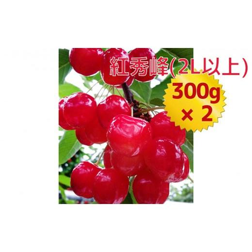 ふるさと納税 北海道 仁木町 先行受付 2024年7月から順次出荷 北海道 仁木町産「匠」ジャンボサイズ さくらんぼ 300g×2 嶋田茂農園