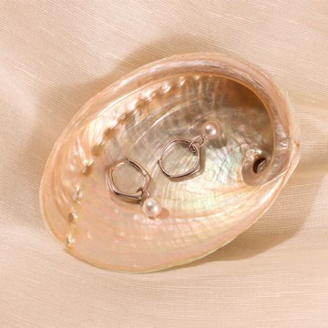 s925銀鍍18k金色時髦簡約高級感珍珠耳飾 女生耳環 抗過敏