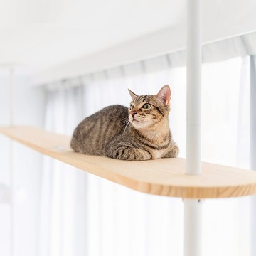 天空步道 | 實木走道