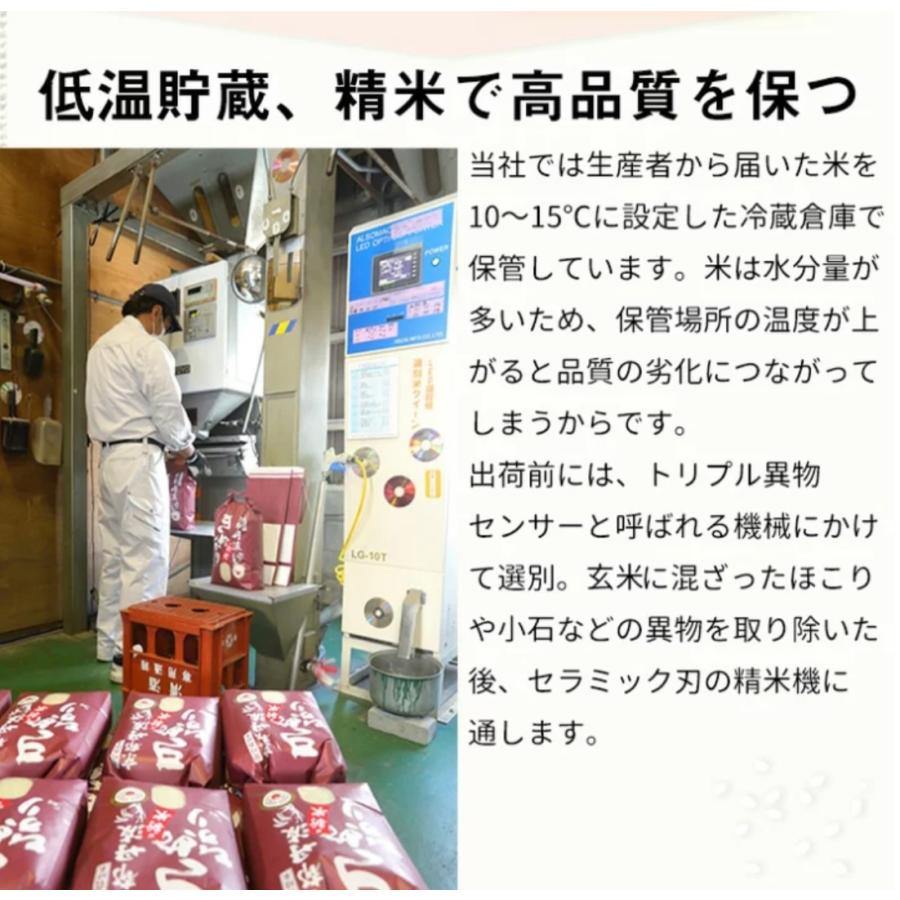 新米　令和５年産　特A 　契約栽培　京都丹波産こしひかり100％白米　10kg　（5kg×2袋）