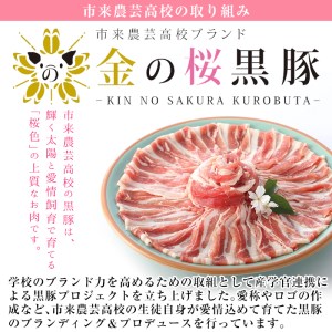 豚肉ミンチ1.2kg  小分け豚肉ミンチ200g×6パックで使いやすい！ 鹿児島県産金の桜黒豚ミンチ（ウデ・モモ肉）200g×6パック 計1.2kg ハンバーグ用ミンチ肉
