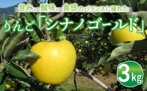 東御市産りんご　長野県オリジナル品種「シナノゴールド」3kg ※10月下旬～順次発送予定