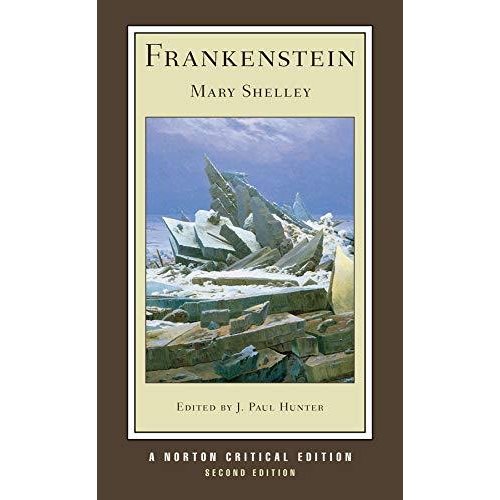 Frankenstein (Norton Critical Edition)