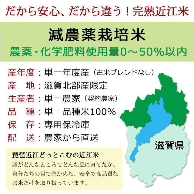 新米 米 お米 30kg あきたこまち 10kg×3袋 令和5年産 2023年産 滋賀県産 白米 玄米 ファーム虎姫 送料無料