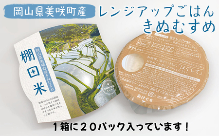 レンジ アップ ごはん 岡山県美咲町大垪和西棚田米（きぬむすめ）20パックセット 米 パック ごはん 保存 レトルト