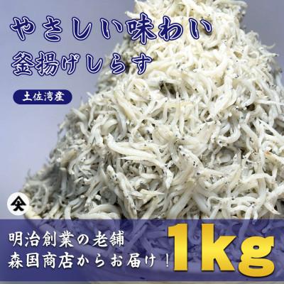 ふるさと納税 南国市 釜揚げしらす高知県土佐湾産1kg(500g×2袋)新鮮・ふわふわ鮮度抜群!