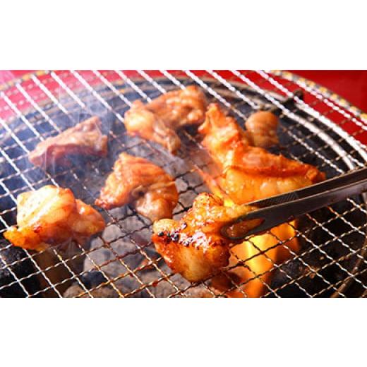 ふるさと納税 鹿児島県 大崎町 黒毛和牛ホルモン焼き肉用ミックス（焼きダレ付き）