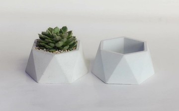 水泥盆 花器 多肉植物盆 (不含植物) 六角中型盆器