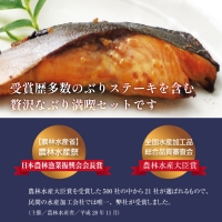 氷見のごちそう堪能セット 富山県 氷見市 ぶり 鰤 ステーキ 焼きほぐし フレーク お茶漬け セット 惣菜 おかず