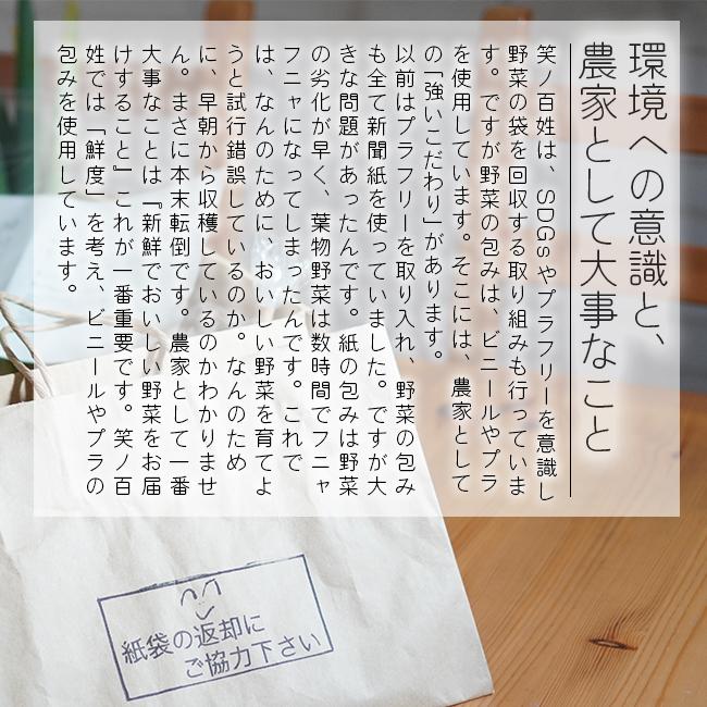 無農薬 野菜セット 農家直送 6〜8品目 安心安全 有機野菜詰め合わせ 大阪 西日本 産地直送 笑ノ百姓 笑の百姓