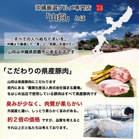 沖縄そば ソーキそば 個包装 個食 ゆで麺 2食入り 沖縄産 沖縄直送