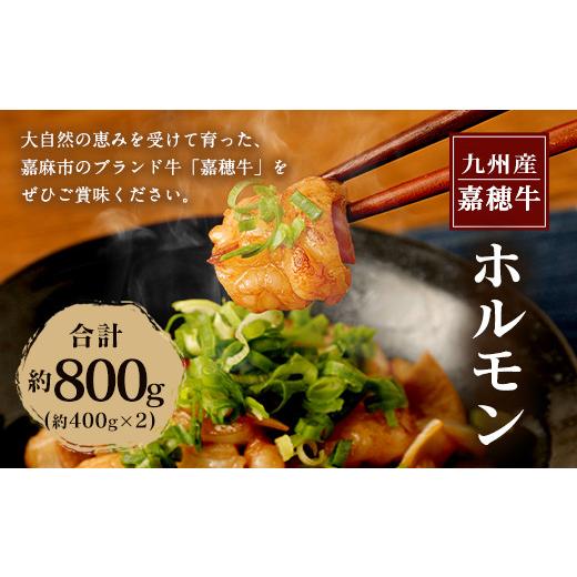 ふるさと納税 福岡県 嘉麻市 嘉穂牛 ホルモン 約800g ブランド牛