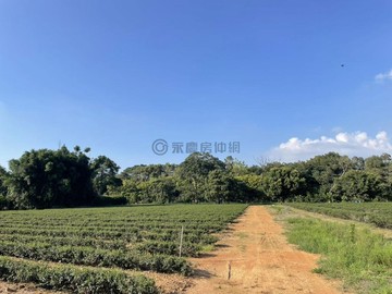 近龍潭綜合體育園區 一般農業區 954坪美農地｜桃園市龍潭區雙連段