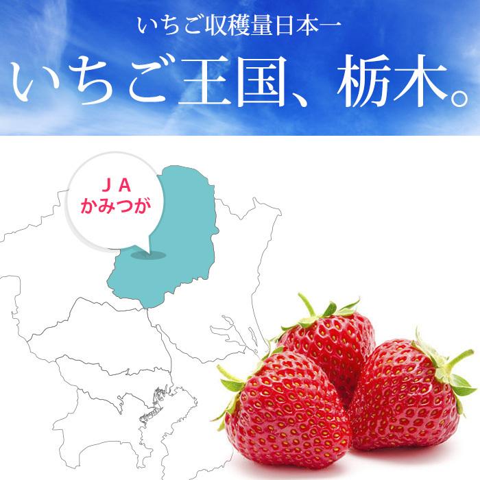 いちご 栃木県産 スカイベリー G 2パック（約280g 1パック）