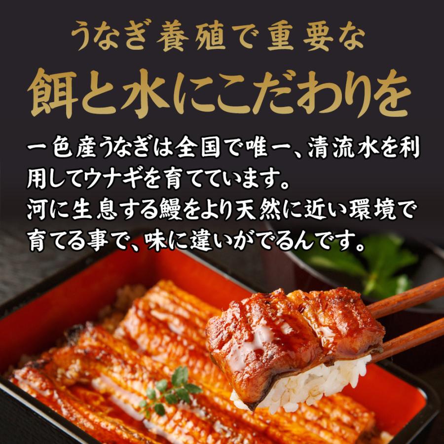 鰻 うなぎ ウナギ 国産 高級 三河一色産 蒲焼き 約400g (約200g×2尾) ｜ギフト｜贈答｜特大｜国産｜三河一色｜蒲焼｜愛知県｜土用の丑｜敬老の日