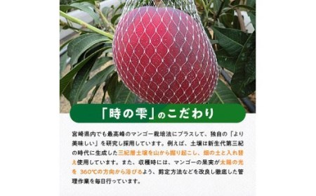 令和６年産 宮崎県産完熟マンゴー「時の雫」2L×1玉