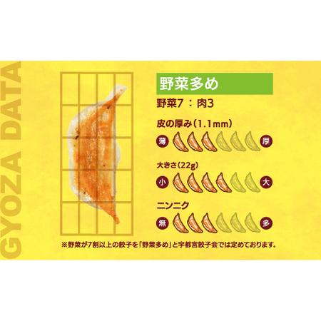 ふるさと納税 　餃子24個入り×2箱 栃木県宇都宮市