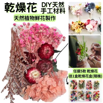【A-ONE】DIY材料包 永生花材料包 多款多色 乾燥玫瑰 短枝花材 浮游花 乾燥花 不凋花花藝 A12 春花美景_廠商直送