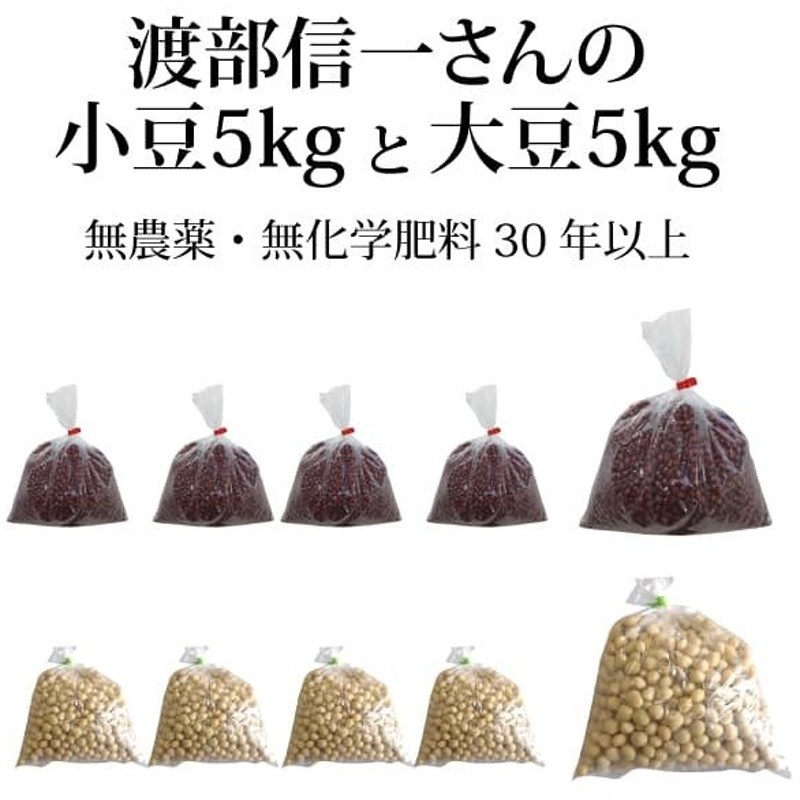 迅速な対応で商品をお届け致します まめやの底力 小豆 大納言 限定