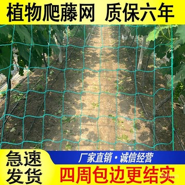 🌸台灣熱賣🌸植物爬藤網百香果絲瓜弔瓜葡萄黃瓜月季荷蘭豆攀爬網菊花種植網架 FRBK