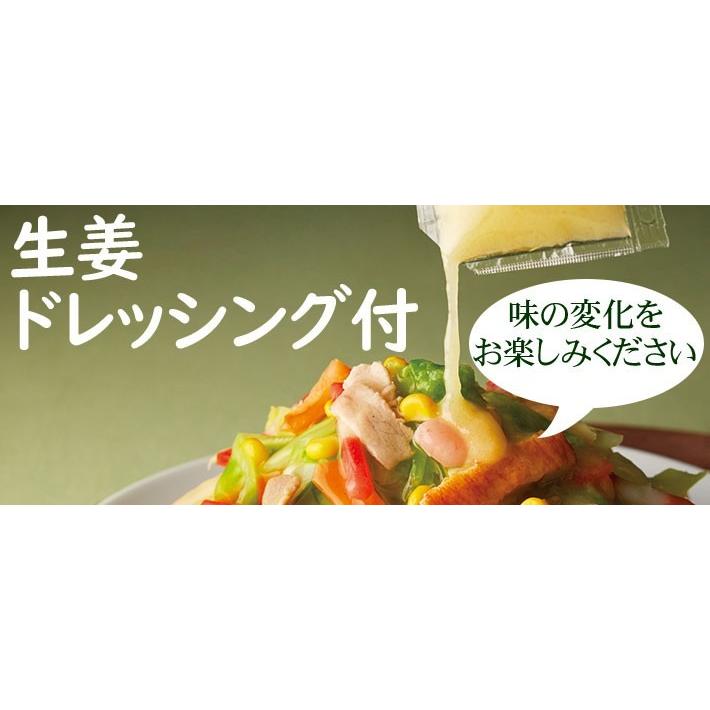 リンガーハット食べる野菜スープとんこつ味2食（送料別）