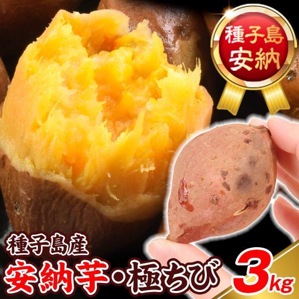 さつまいも 3kg 安納芋・極ちび 種子島産 ご家庭用 送料無料 食品