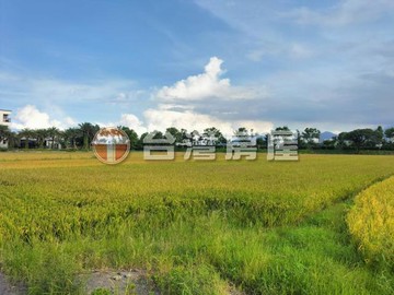 五結錦草資深農地｜宜蘭縣五結鄉錦草段