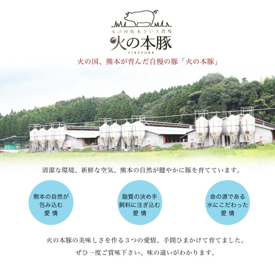 豚バラ ブロック 250g×３ 750g 国産 熊本県産 豚肉 火の本豚 さいき農場 冷凍配送
