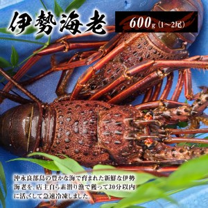 活き〆冷凍　天然伊勢海老600g（1～2尾）